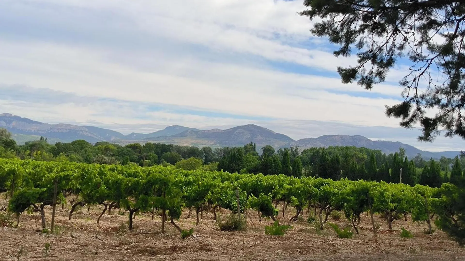 Mas L'Escale Des Dentelles Villa Aubignan